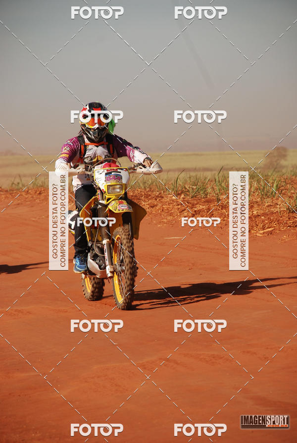 Compra tus fotos del evento3 Trilho dos Frangos En Fotop