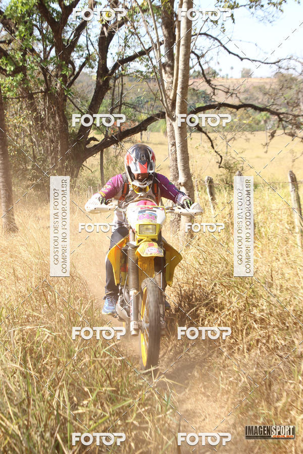 Compra tus fotos del evento3 Trilho dos Frangos En Fotop