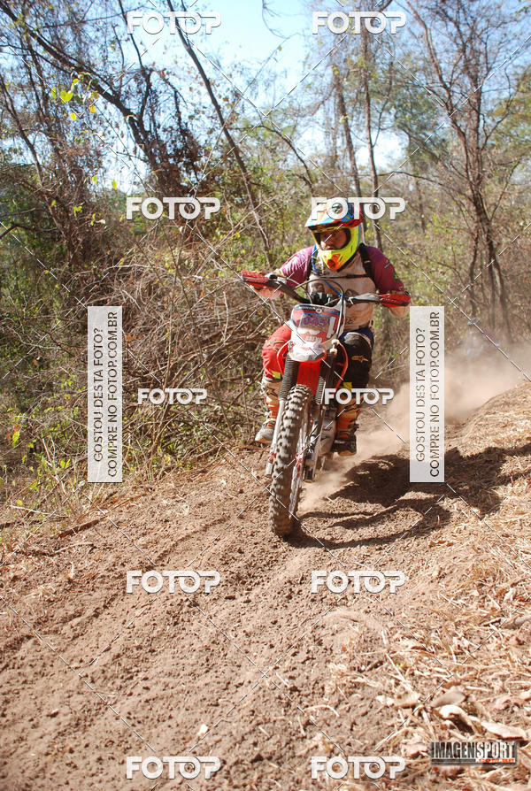 Buy your photos of the event3 Trilho dos Frangos on Fotop