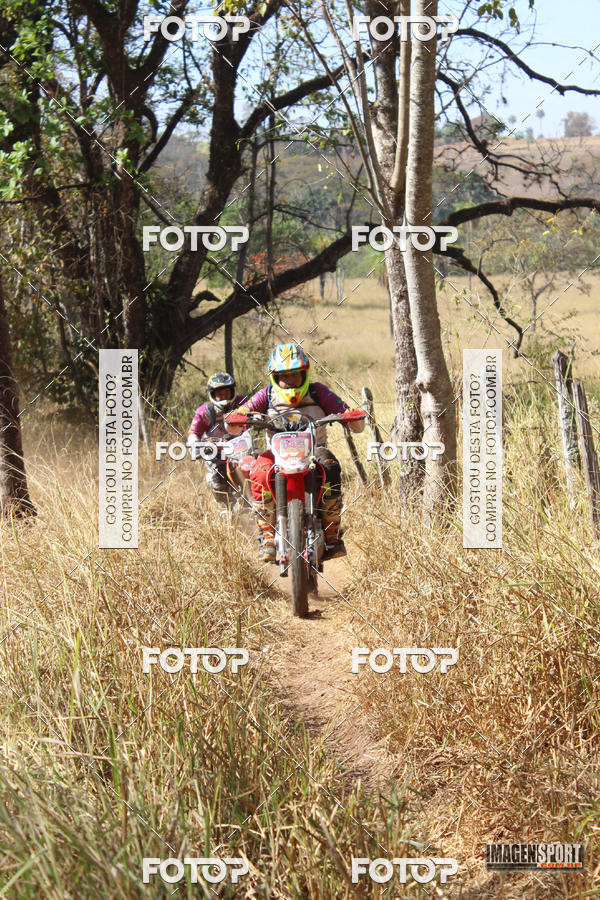 Compra tus fotos del evento3 Trilho dos Frangos En Fotop