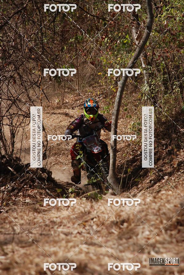 Buy your photos of the event3 Trilho dos Frangos on Fotop