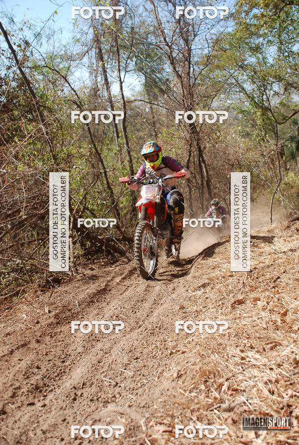 Buy your photos of the event3 Trilho dos Frangos on Fotop