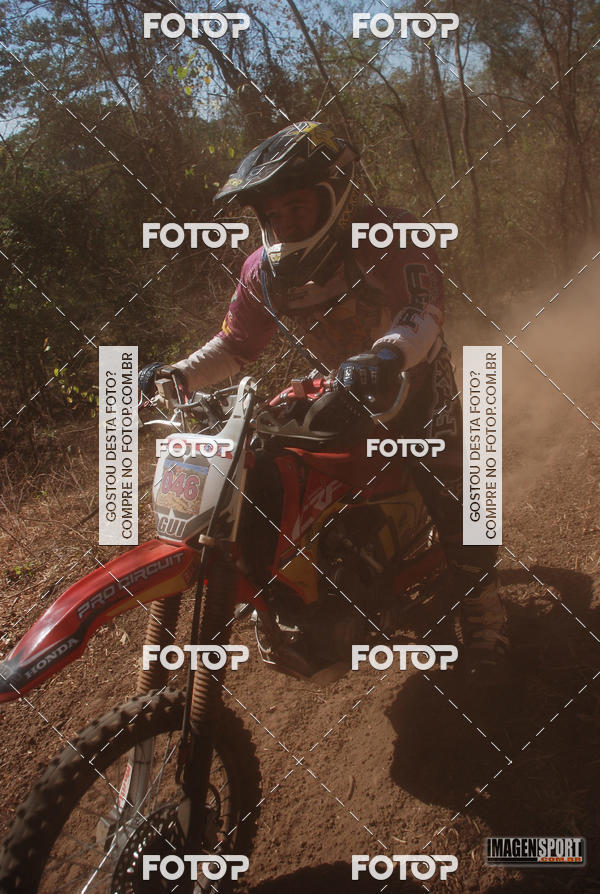 Buy your photos of the event3 Trilho dos Frangos on Fotop