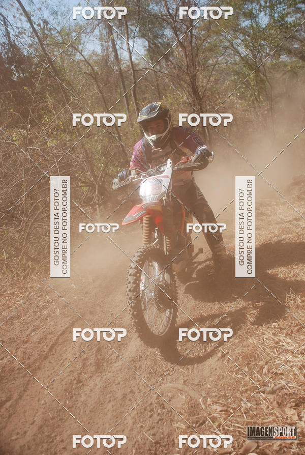 Buy your photos of the event3 Trilho dos Frangos on Fotop