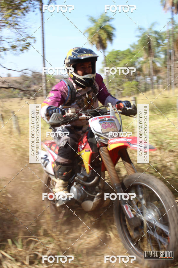 Buy your photos of the event3 Trilho dos Frangos on Fotop