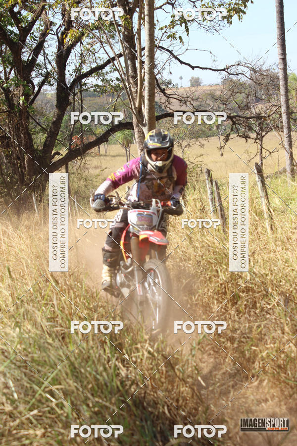 Buy your photos of the event3 Trilho dos Frangos on Fotop