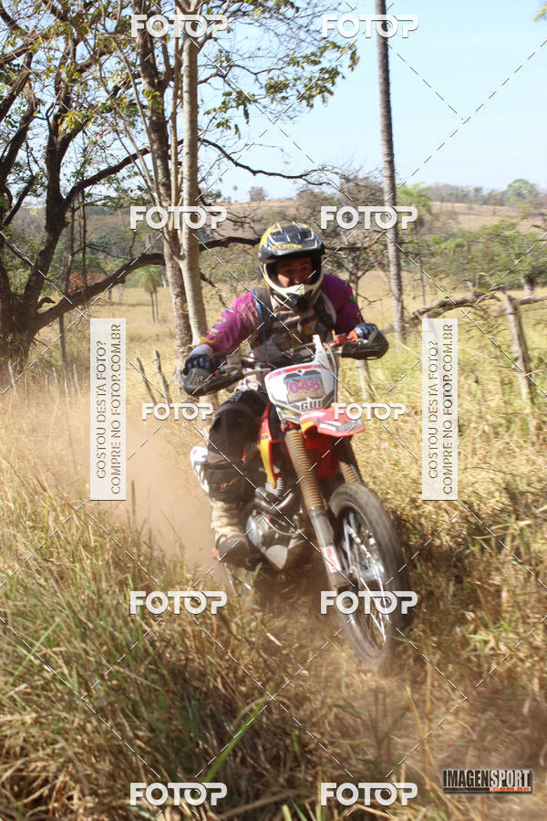 Buy your photos of the event3 Trilho dos Frangos on Fotop