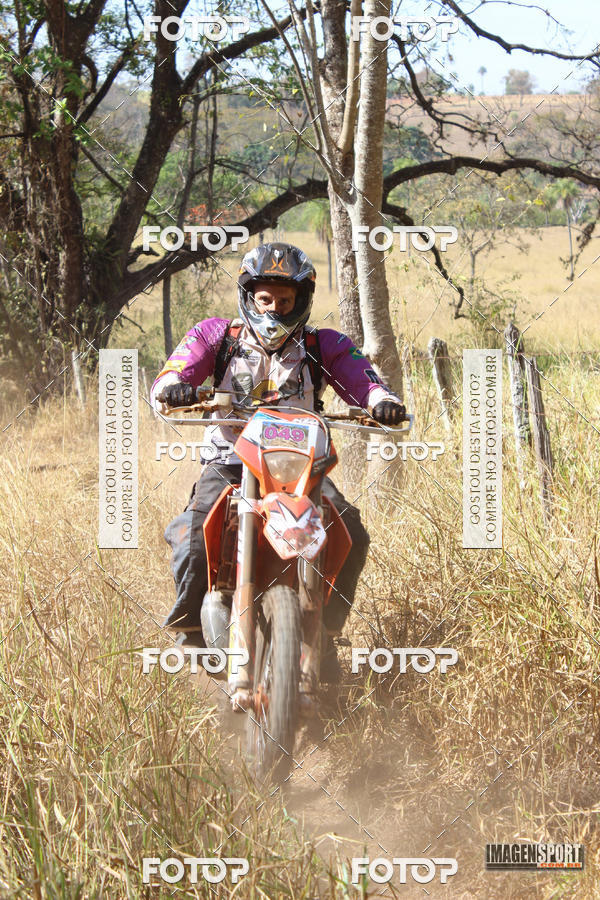 Buy your photos of the event3 Trilho dos Frangos on Fotop