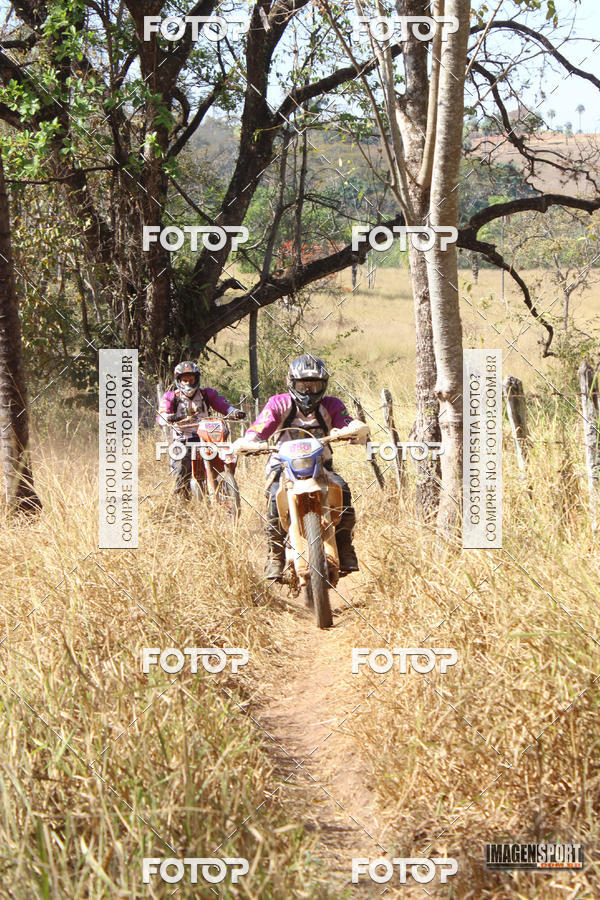 Buy your photos of the event3 Trilho dos Frangos on Fotop