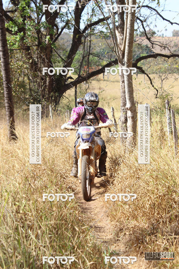 Buy your photos of the event3 Trilho dos Frangos on Fotop