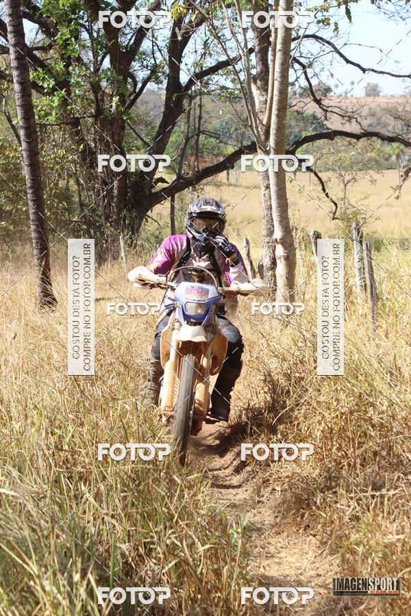 Buy your photos of the event3 Trilho dos Frangos on Fotop