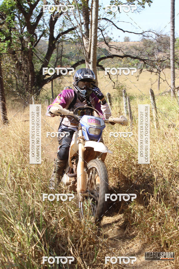 Buy your photos of the event3 Trilho dos Frangos on Fotop