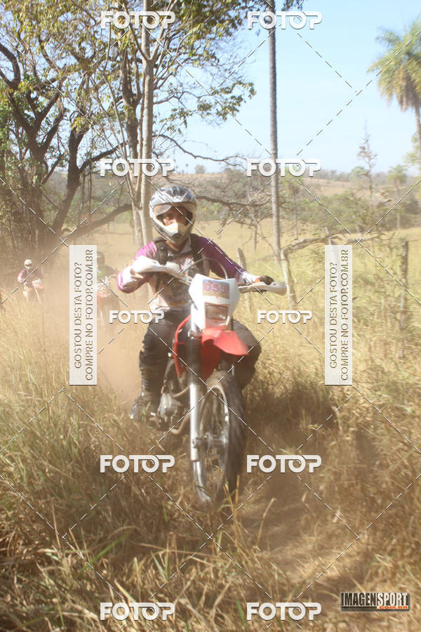 Buy your photos of the event3 Trilho dos Frangos on Fotop