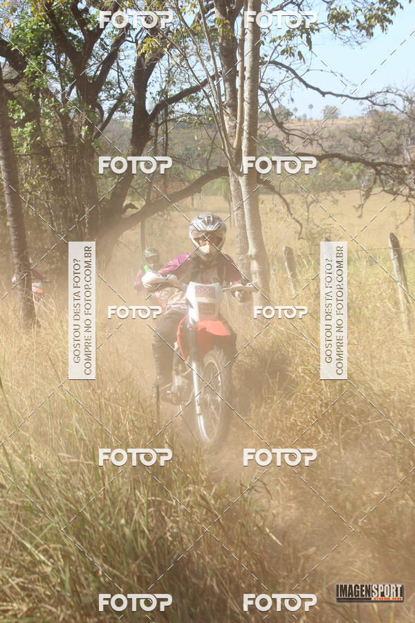 Buy your photos of the event3 Trilho dos Frangos on Fotop