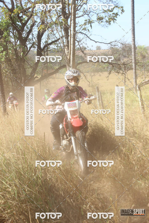 Buy your photos of the event3 Trilho dos Frangos on Fotop