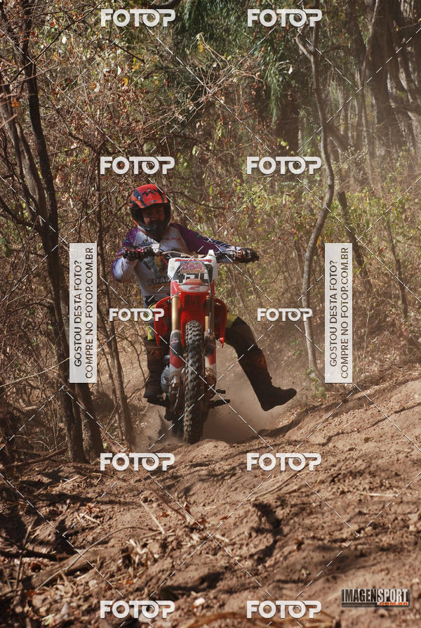 Buy your photos of the event3 Trilho dos Frangos on Fotop