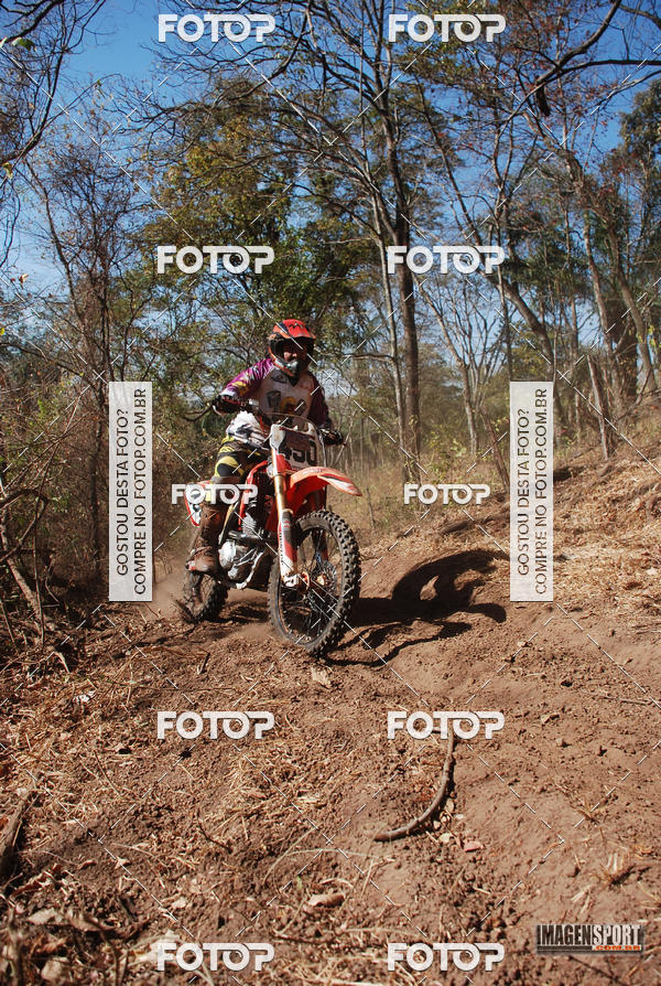 Buy your photos of the event3 Trilho dos Frangos on Fotop