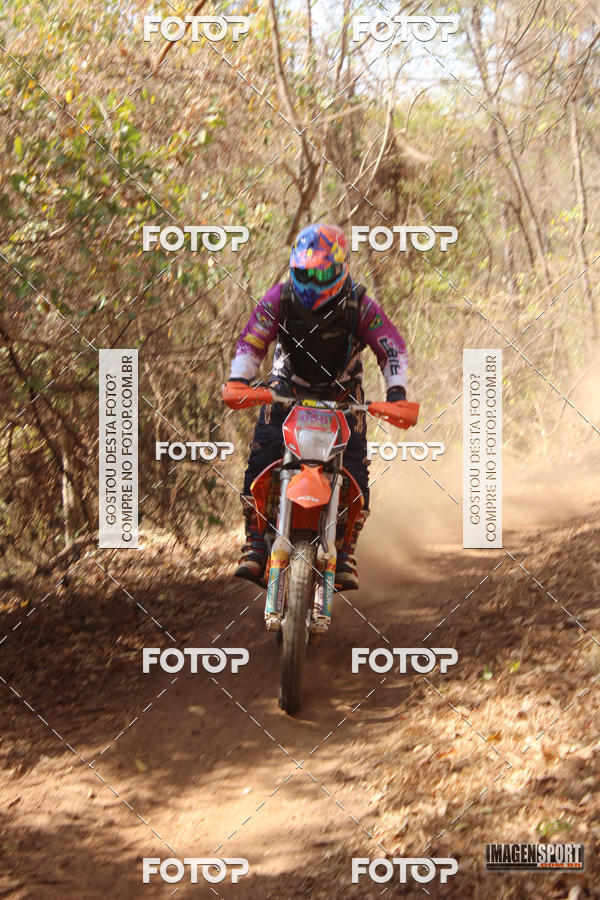 Buy your photos of the event3 Trilho dos Frangos on Fotop