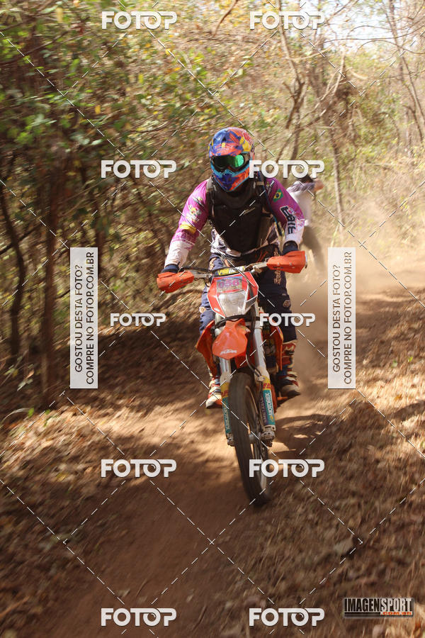 Buy your photos of the event3 Trilho dos Frangos on Fotop