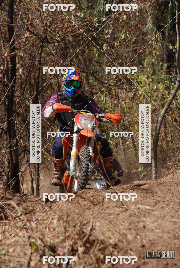 Buy your photos of the event3 Trilho dos Frangos on Fotop