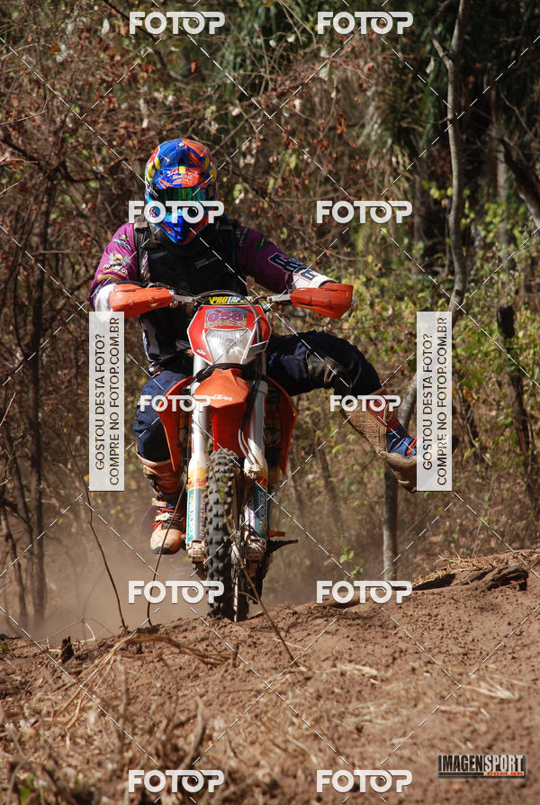 Buy your photos of the event3 Trilho dos Frangos on Fotop