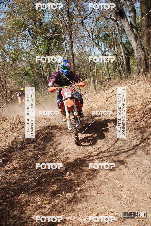 Buy your photos of the event3 Trilho dos Frangos on Fotop