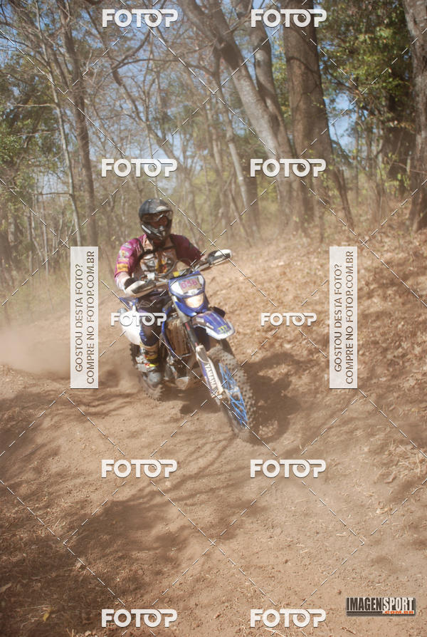 Buy your photos of the event3 Trilho dos Frangos on Fotop