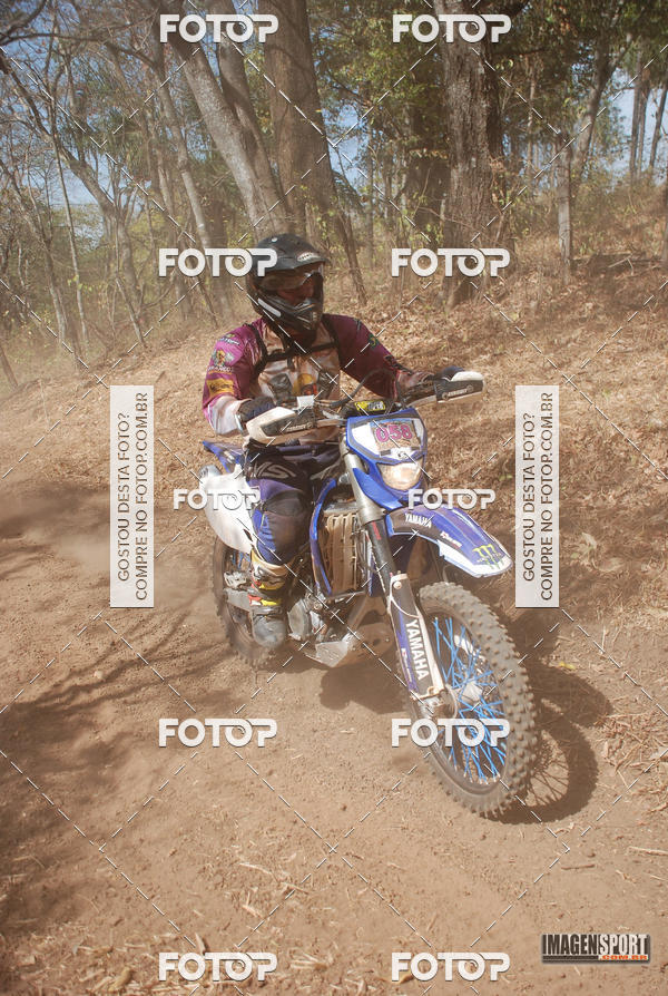 Buy your photos of the event3 Trilho dos Frangos on Fotop