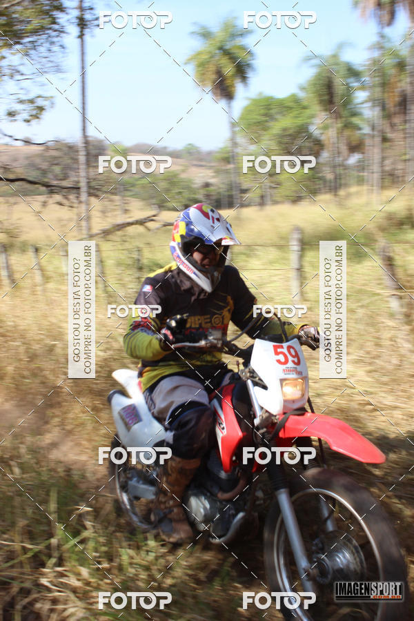 Buy your photos of the event3 Trilho dos Frangos on Fotop