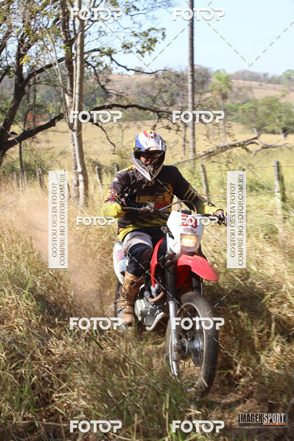 Buy your photos of the event3 Trilho dos Frangos on Fotop