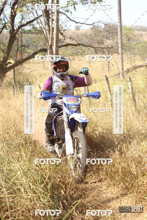 Buy your photos of the event3 Trilho dos Frangos on Fotop