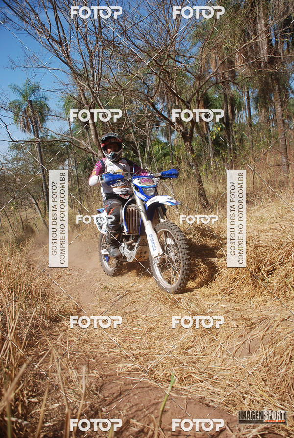 Buy your photos of the event3 Trilho dos Frangos on Fotop