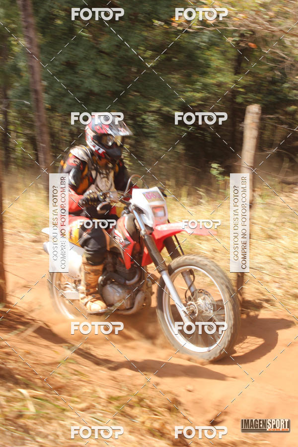 Buy your photos of the event3 Trilho dos Frangos on Fotop