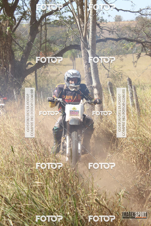 Buy your photos of the event3 Trilho dos Frangos on Fotop