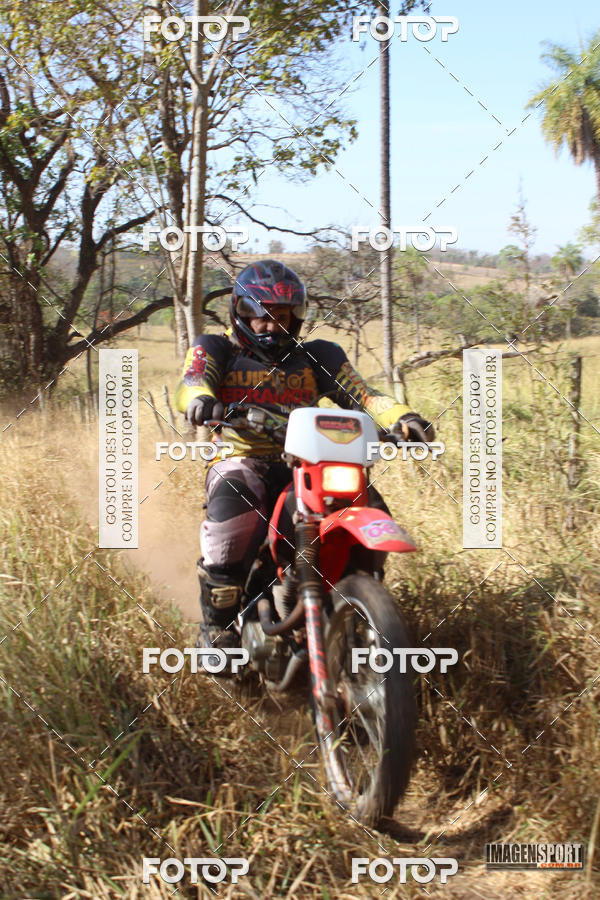 Buy your photos of the event3 Trilho dos Frangos on Fotop