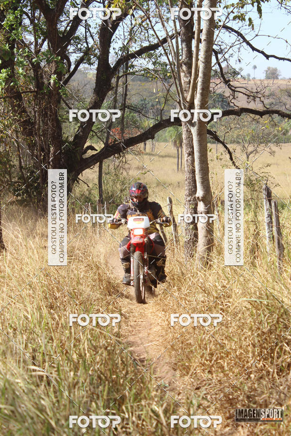 Buy your photos of the event3 Trilho dos Frangos on Fotop