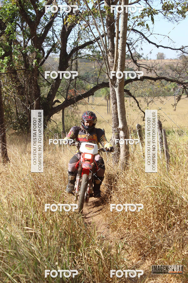 Buy your photos of the event3 Trilho dos Frangos on Fotop