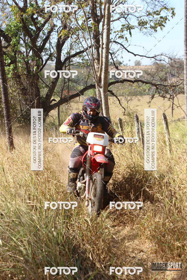 Buy your photos of the event3 Trilho dos Frangos on Fotop