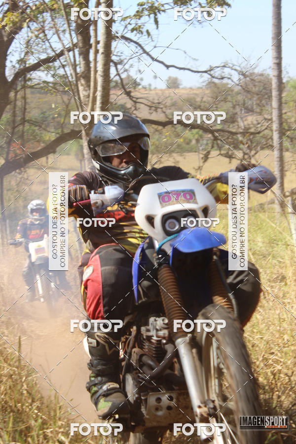 Buy your photos of the event3 Trilho dos Frangos on Fotop