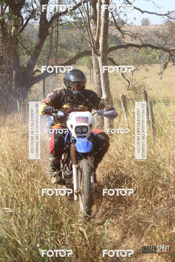 Buy your photos of the event3 Trilho dos Frangos on Fotop