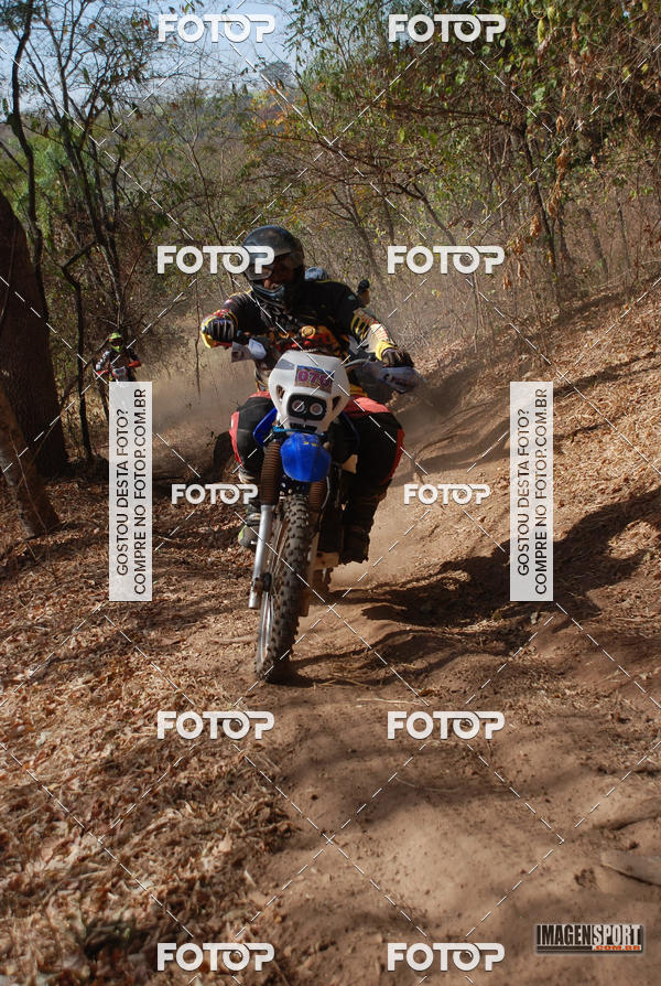 Buy your photos of the event3 Trilho dos Frangos on Fotop