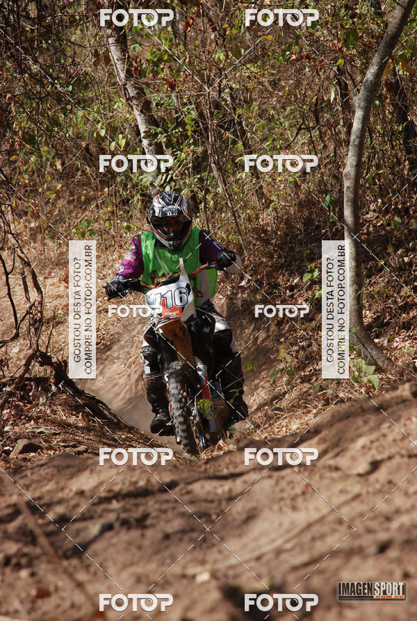 Buy your photos of the event3 Trilho dos Frangos on Fotop