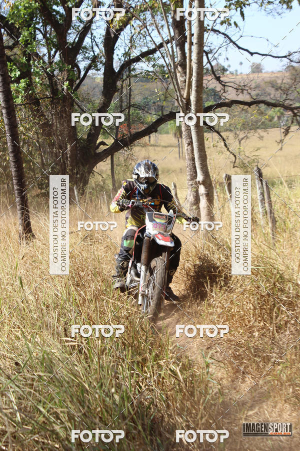 Buy your photos of the event3 Trilho dos Frangos on Fotop