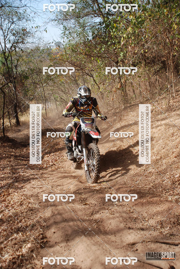 Buy your photos of the event3 Trilho dos Frangos on Fotop