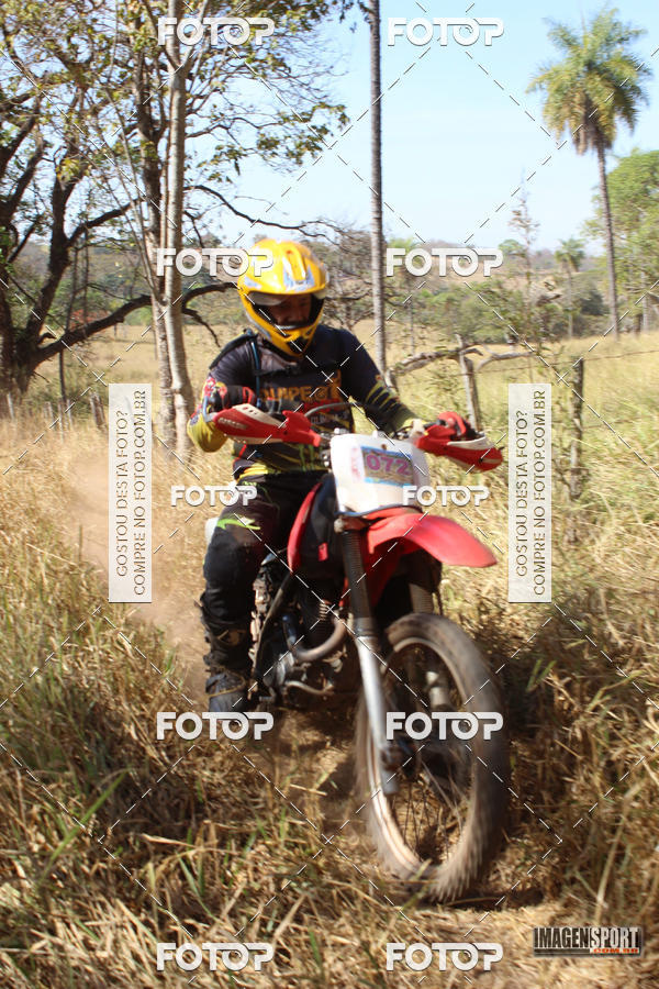 Buy your photos of the event3 Trilho dos Frangos on Fotop