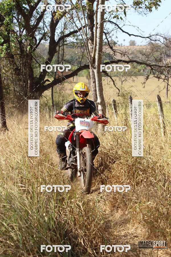 Buy your photos of the event3 Trilho dos Frangos on Fotop