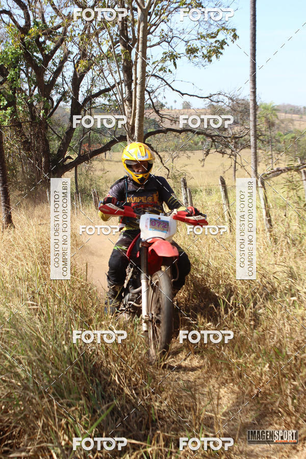 Buy your photos of the event3 Trilho dos Frangos on Fotop