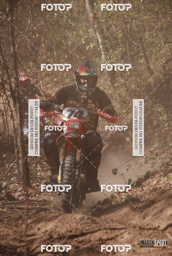 Buy your photos of the event3 Trilho dos Frangos on Fotop