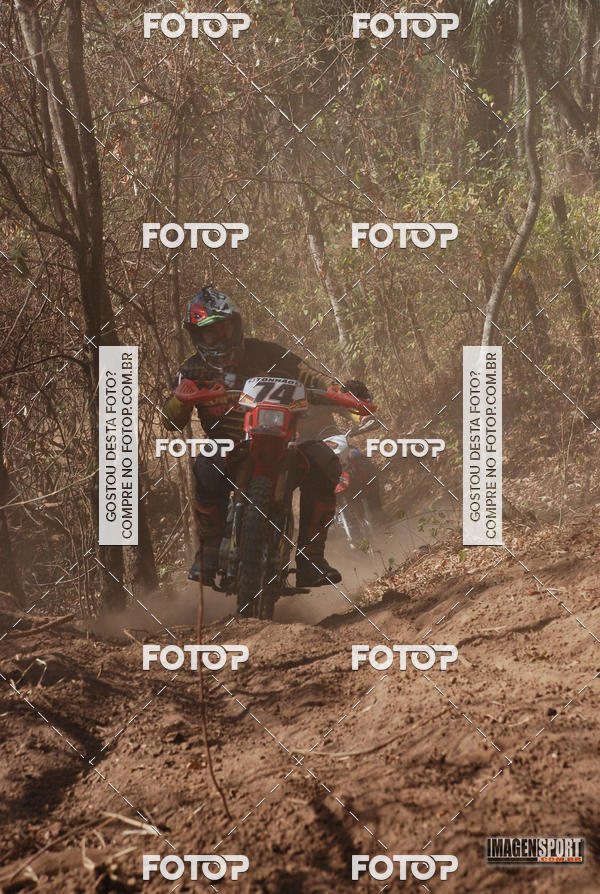 Buy your photos of the event3 Trilho dos Frangos on Fotop