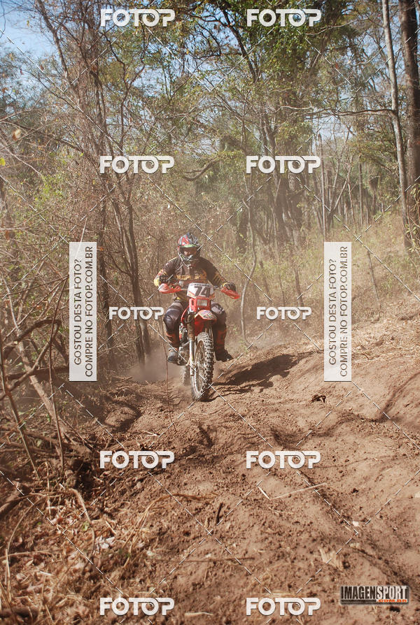 Buy your photos of the event3 Trilho dos Frangos on Fotop